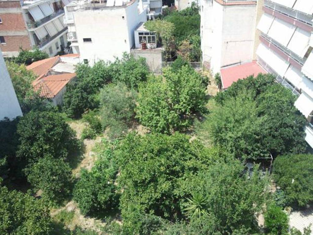 Hotel Foivos Loutra Edipsou  Zimmer foto
